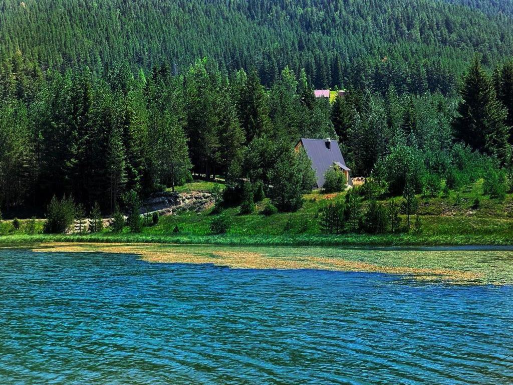 Zminica Lake House Žabljak Buitenkant foto