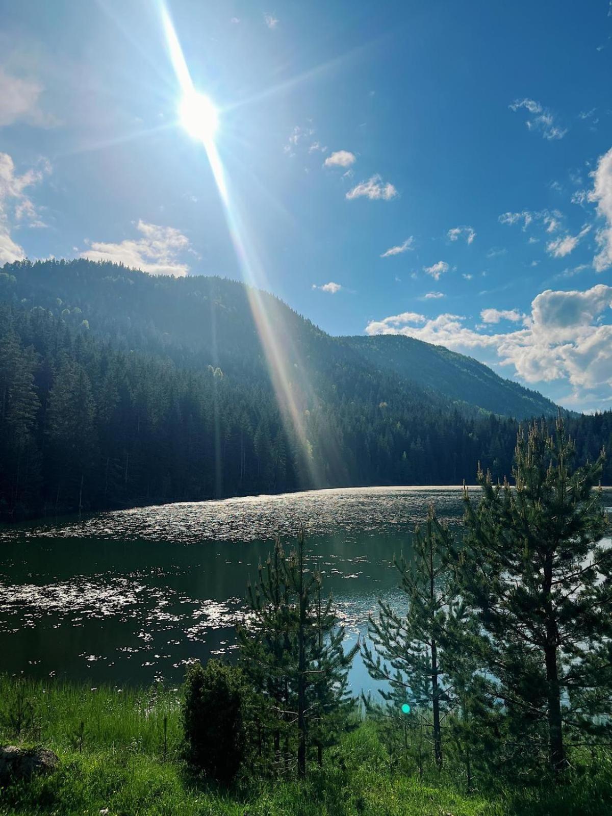 Zminica Lake House Žabljak Buitenkant foto