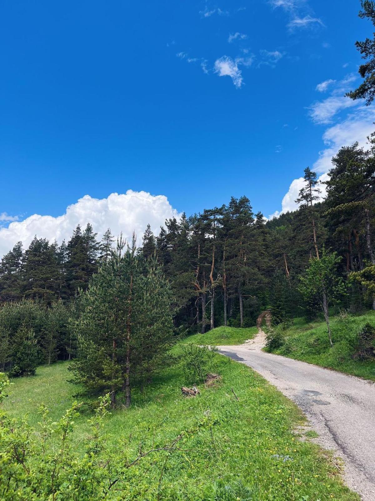 Zminica Lake House Žabljak Buitenkant foto
