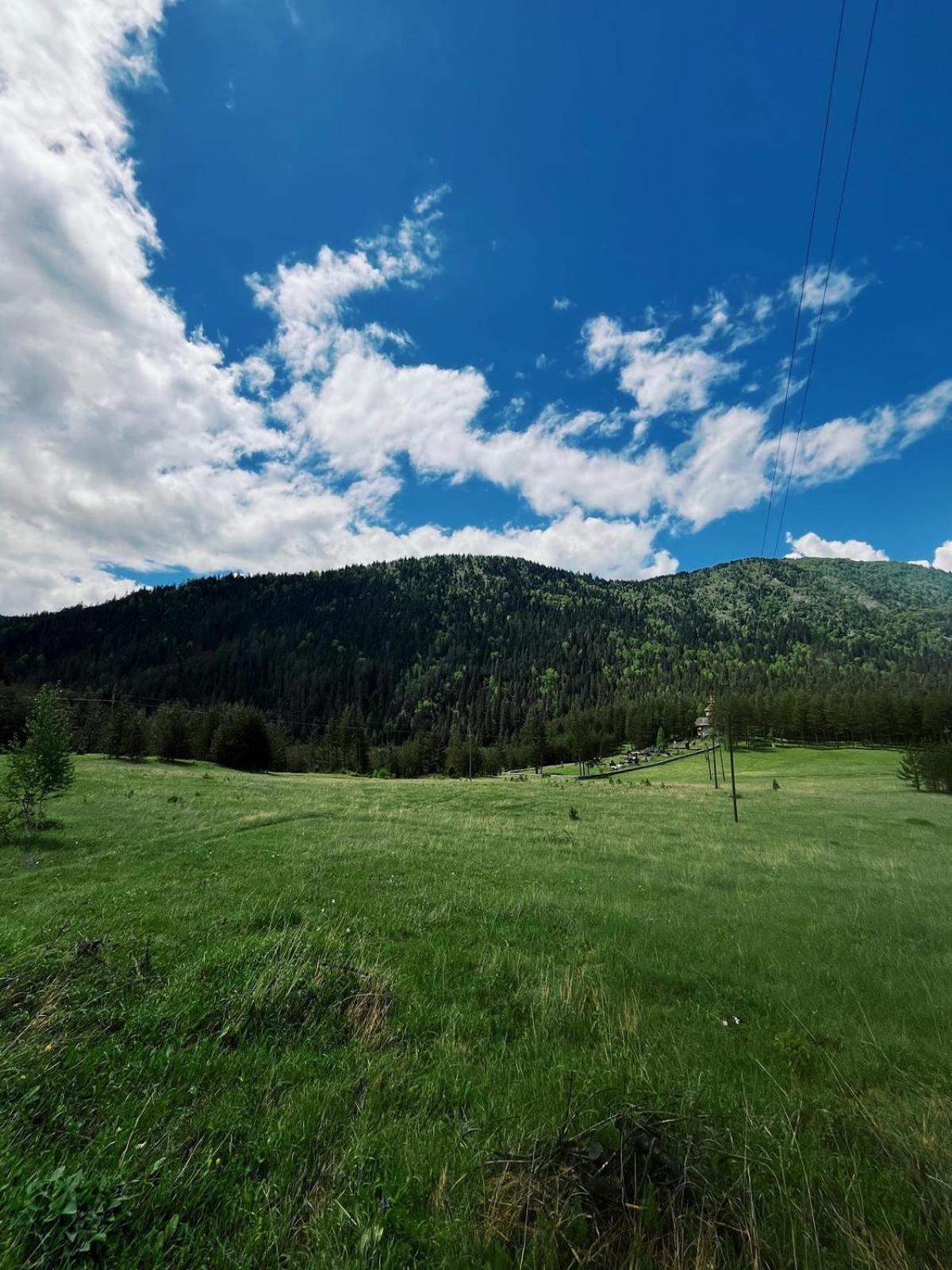 Zminica Lake House Žabljak Buitenkant foto