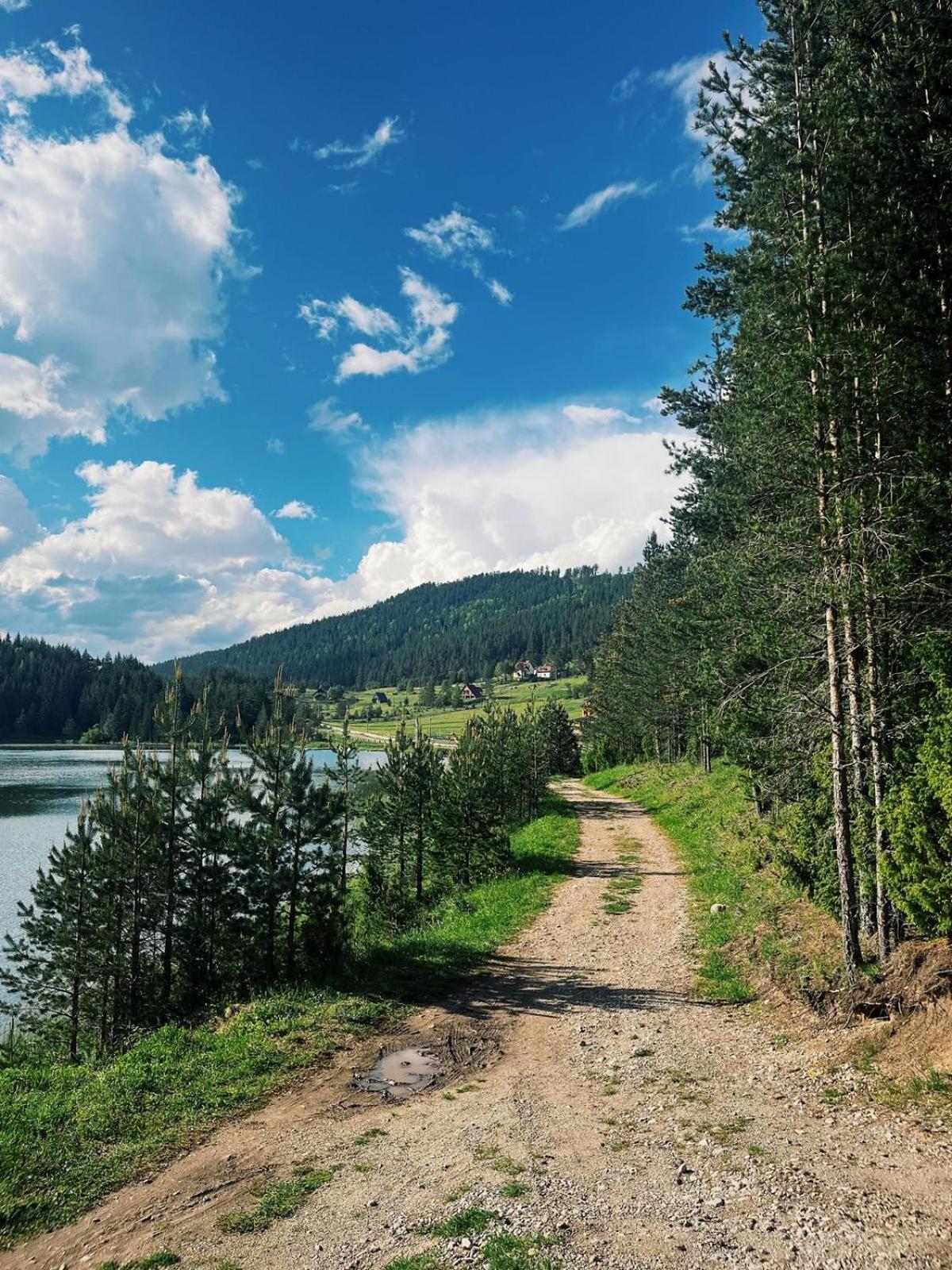 Zminica Lake House Žabljak Buitenkant foto