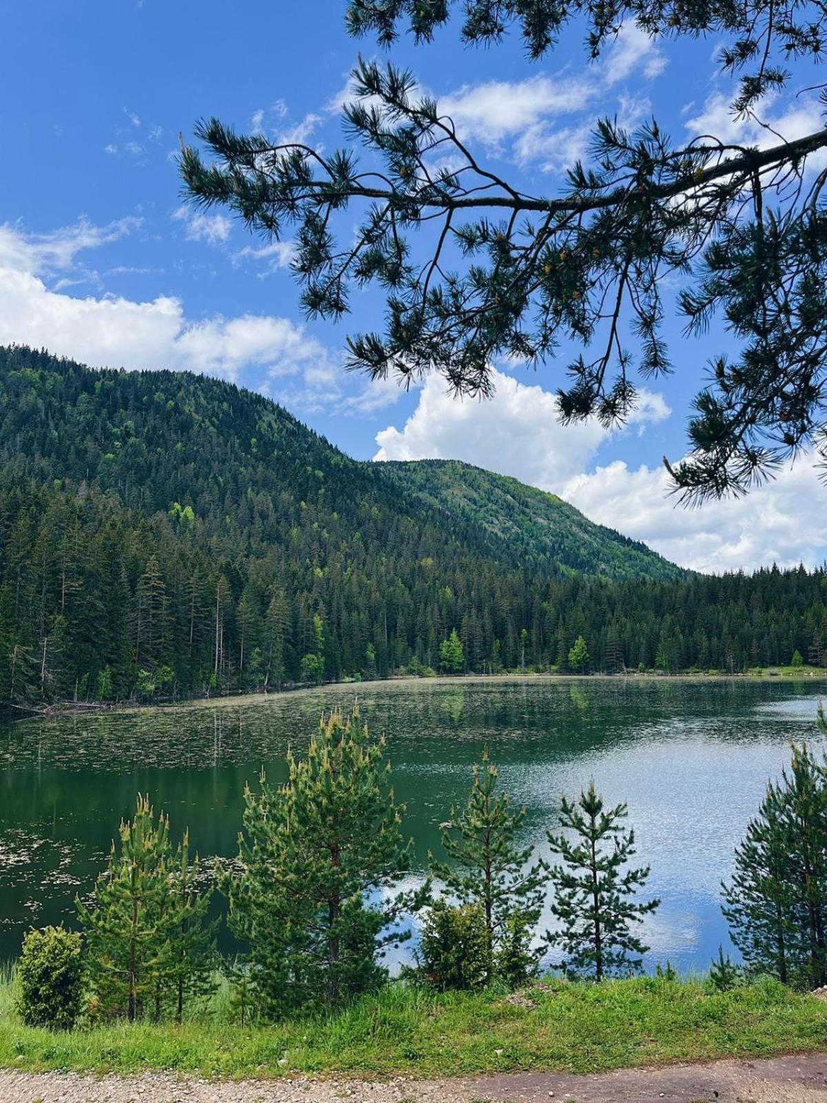 Zminica Lake House Žabljak Buitenkant foto